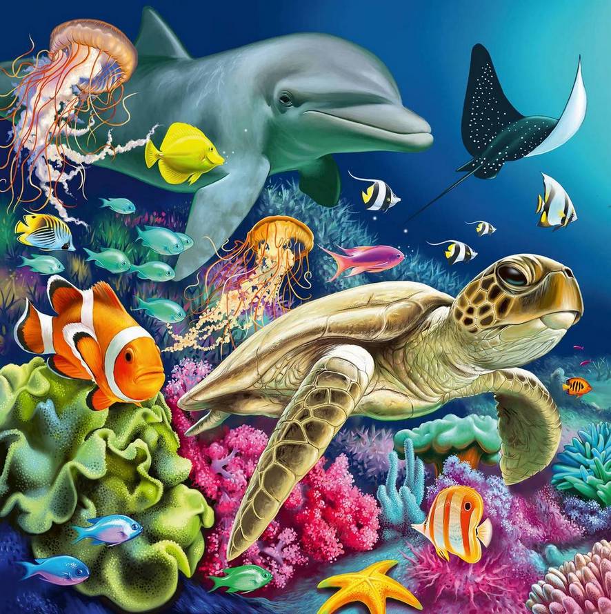 shop-for-ravensburger-under-water-3-x-49-piece-jigsaw-puzzle-sale_2.jpg
