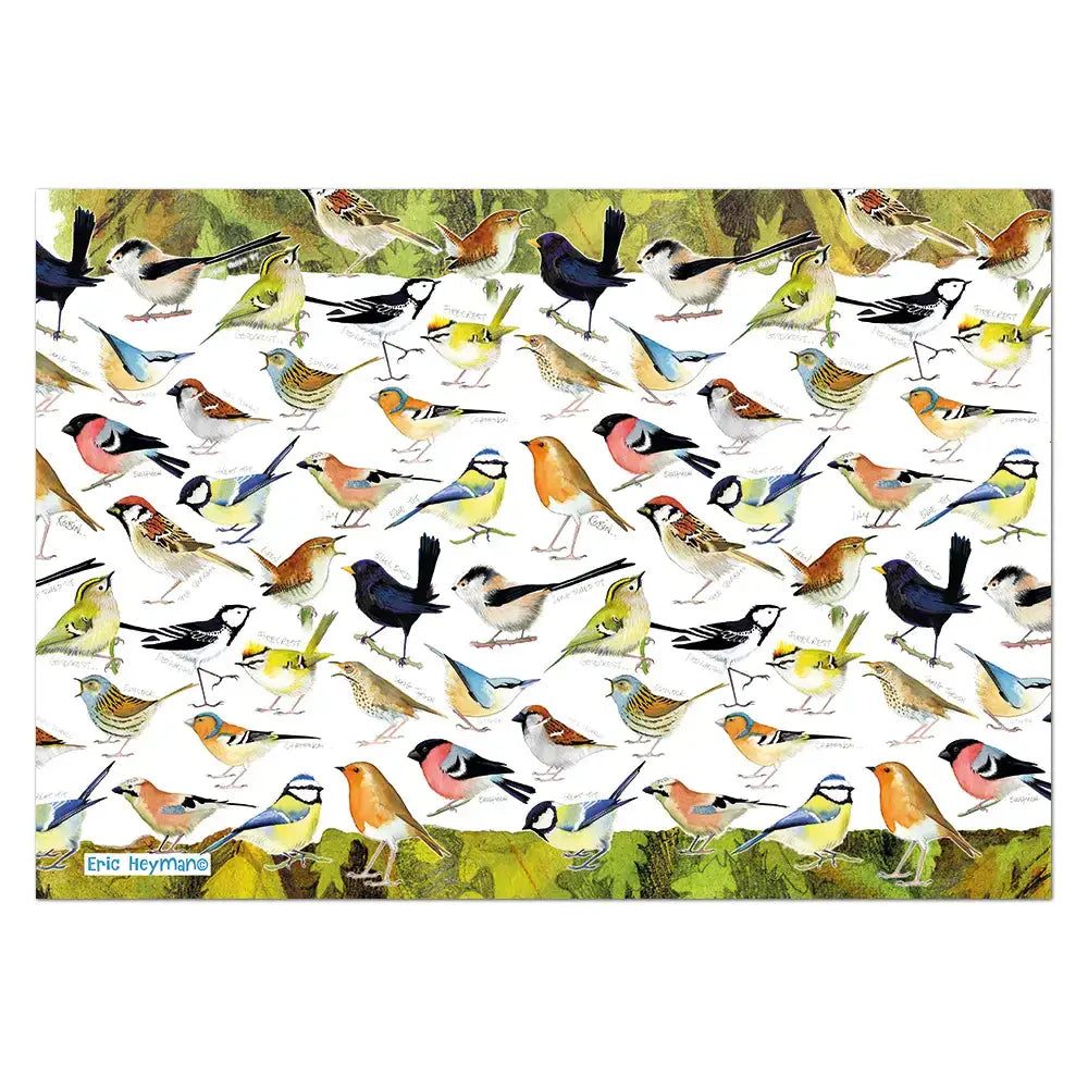 buy-the-best-cheap-emma-ball-british-birds-1000-piece-jigsaw-puzzle-online-hot-sale_1.webp
